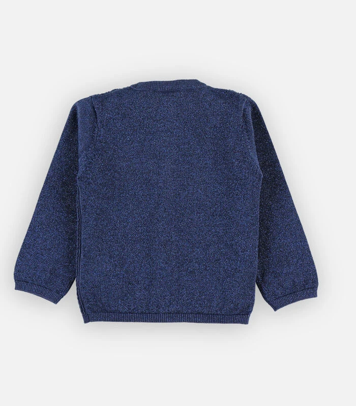 Gebreid Lurex Vestje, Donkerblauw 4 Gebreid Lurex Vestje, Donkerblauw - Afbeelding 4
