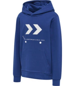 Hummel Sweater Met Capuchon Voor Kinderen Skate