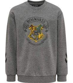 Hummel Kinder Trainingspak Harry Potter Spring 7 Hummel Kinder Trainingspak Harry Potter Spring -NAME IT || ADIDAS || LE TEMPS DES CERISES Verkoop 9e2e47fa32fd4ab5992da53aaa2965f4