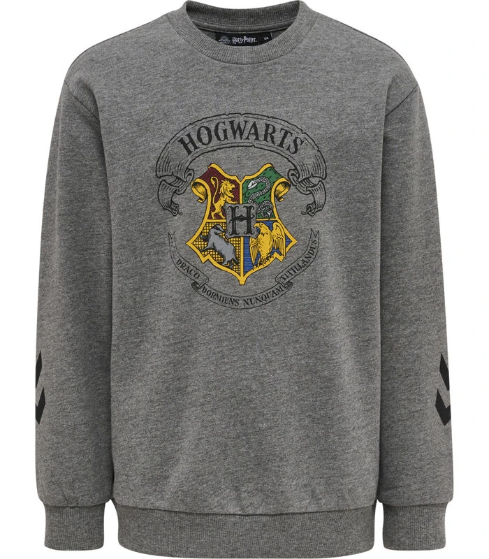 Hummel Kinder Trainingspak Harry Potter Spring 3 Hummel Kinder Trainingspak Harry Potter Spring - Afbeelding 3