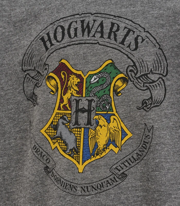 Hummel Kinder Trainingspak Harry Potter Spring 4 Hummel Kinder Trainingspak Harry Potter Spring - Afbeelding 4