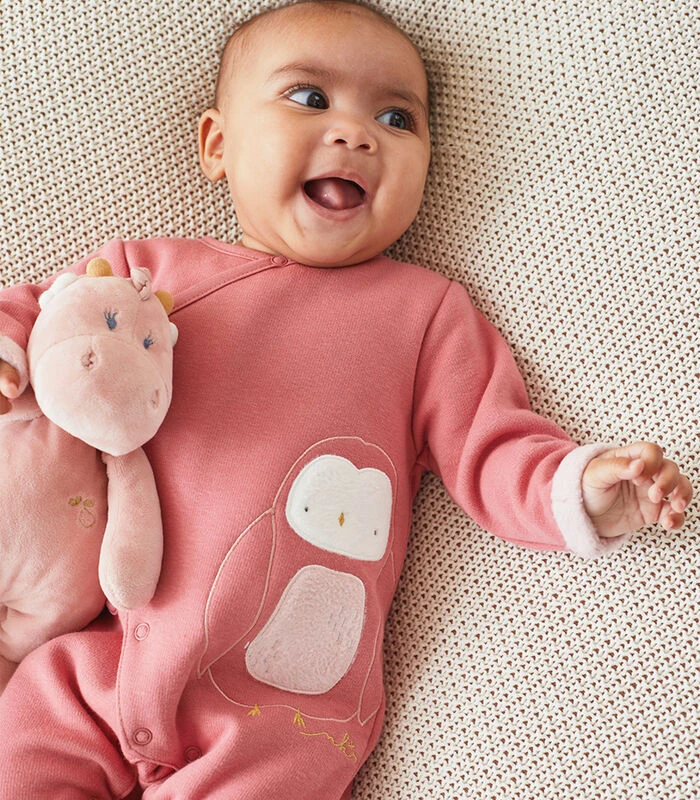 Pakje Met Uil, Roos 2 Pakje Met Uil, Roos - Afbeelding 2